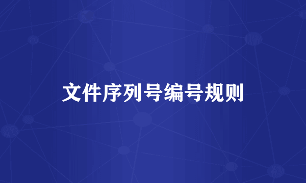 文件序列号编号规则