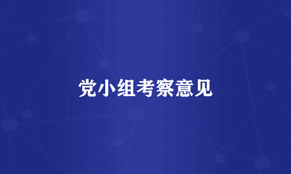 党小组考察意见