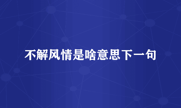 不解风情是啥意思下一句
