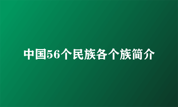 中国56个民族各个族简介