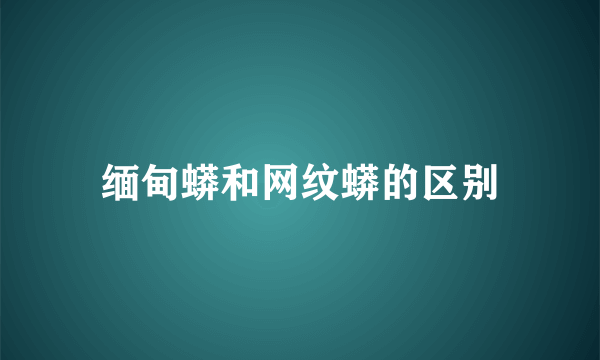 缅甸蟒和网纹蟒的区别