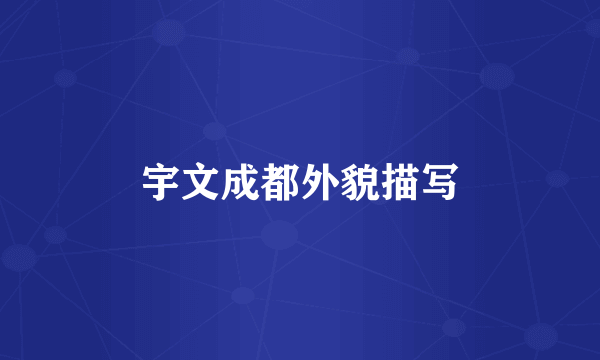 宇文成都外貌描写