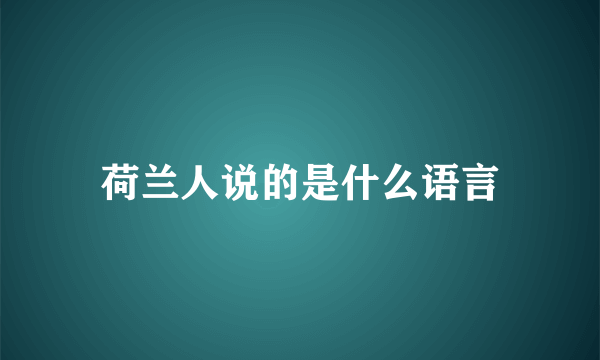 荷兰人说的是什么语言