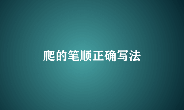 爬的笔顺正确写法