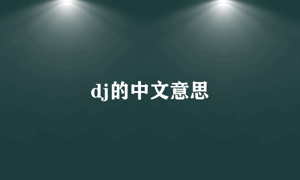 dj的中文意思