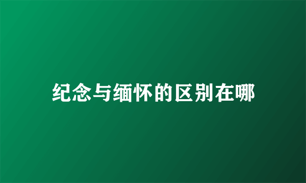 纪念与缅怀的区别在哪