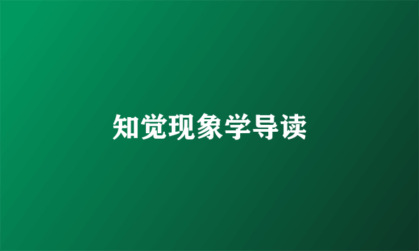 知觉现象学导读