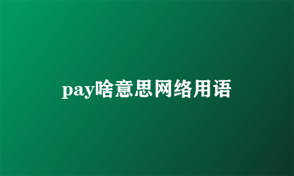 pay啥意思网络用语