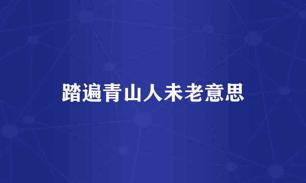 踏遍青山人未老意思
