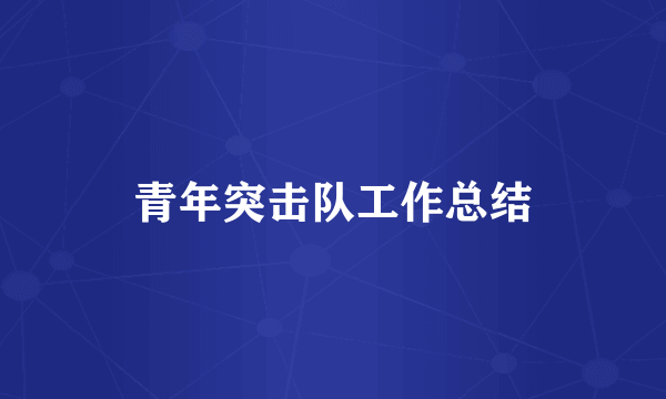 青年突击队工作总结