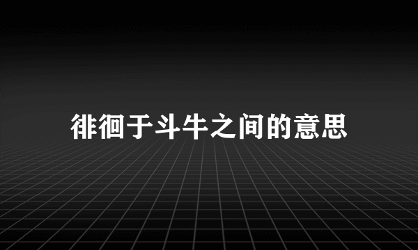 徘徊于斗牛之间的意思