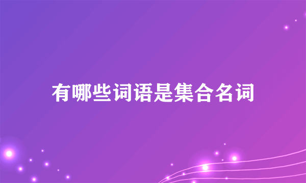 有哪些词语是集合名词