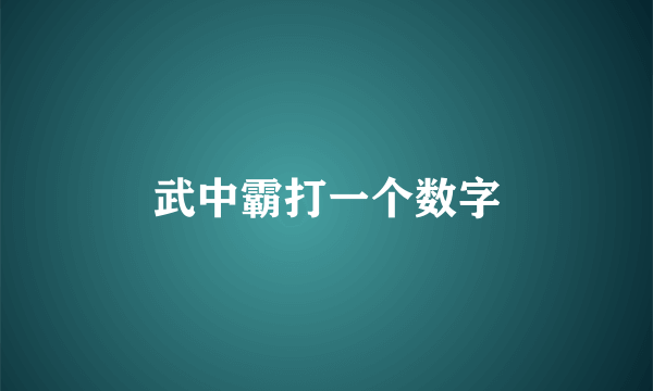 武中霸打一个数字