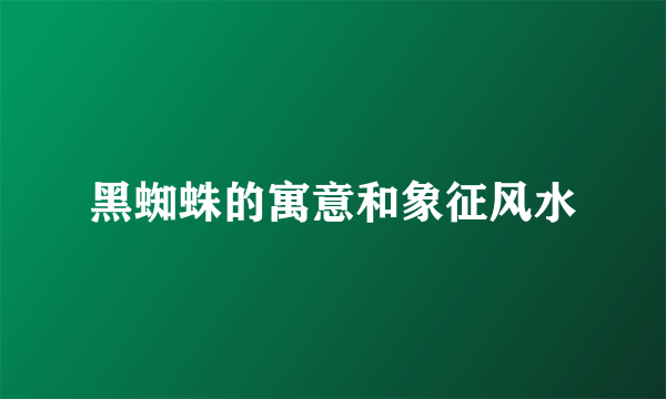 黑蜘蛛的寓意和象征风水
