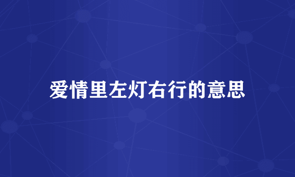 爱情里左灯右行的意思