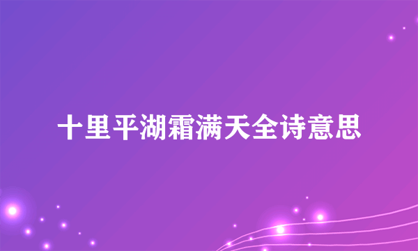 十里平湖霜满天全诗意思