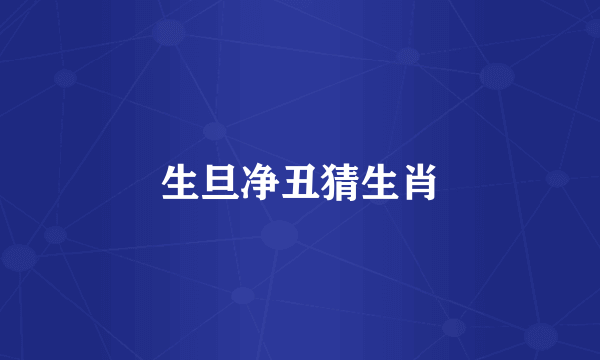 生旦净丑猜生肖