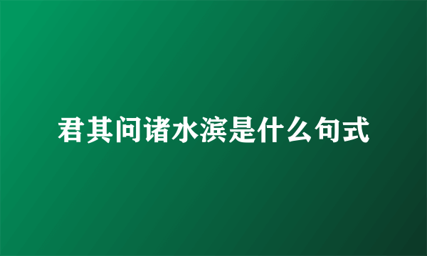 君其问诸水滨是什么句式