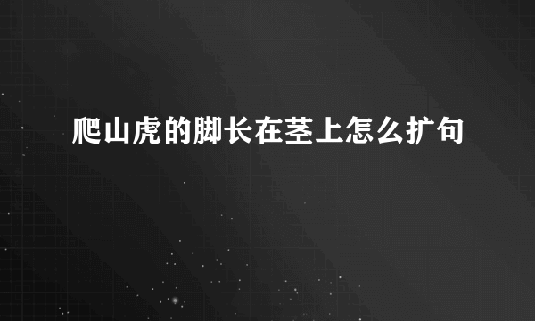 爬山虎的脚长在茎上怎么扩句