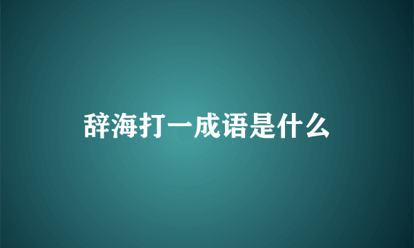 辞海打一成语是什么