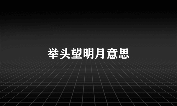 举头望明月意思