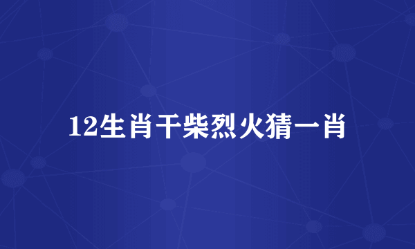 12生肖干柴烈火猜一肖