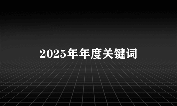 2025年年度关键词