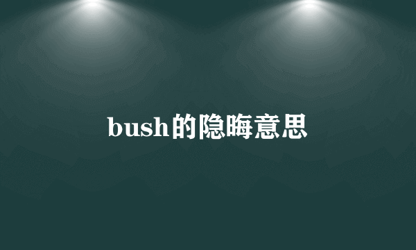 bush的隐晦意思