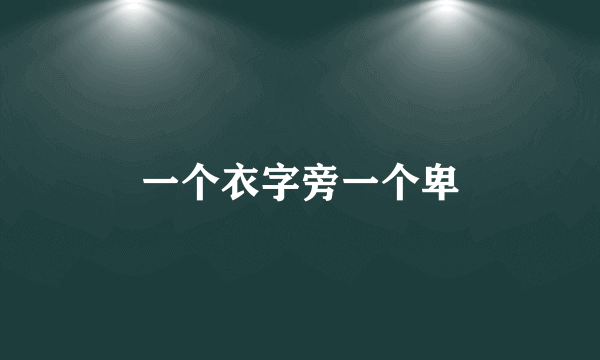一个衣字旁一个卑