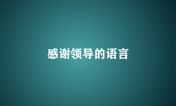感谢领导的语言