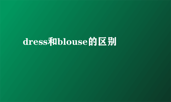 dress和blouse的区别