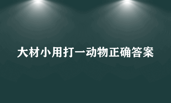 大材小用打一动物正确答案