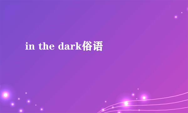 in the dark俗语