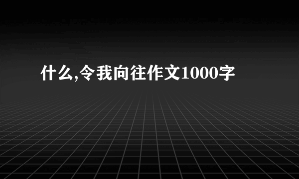 什么,令我向往作文1000字