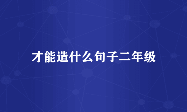 才能造什么句子二年级