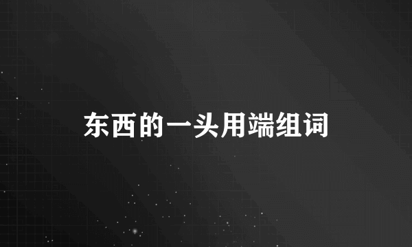 东西的一头用端组词