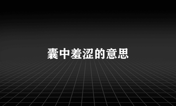 囊中羞涩的意思