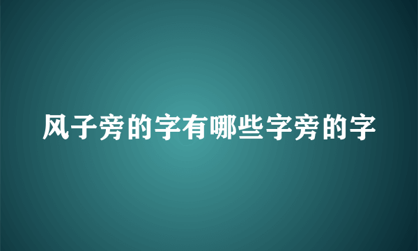 风子旁的字有哪些字旁的字