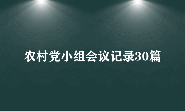 农村党小组会议记录30篇