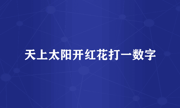 天上太阳开红花打一数字