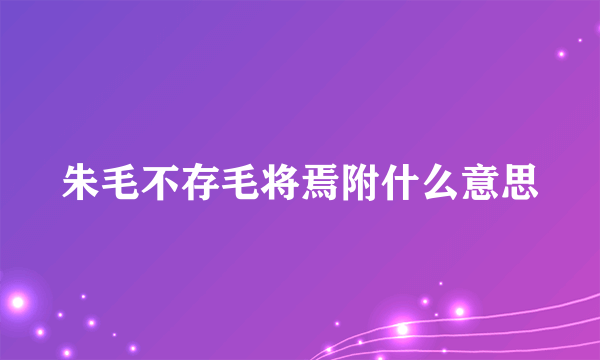朱毛不存毛将焉附什么意思