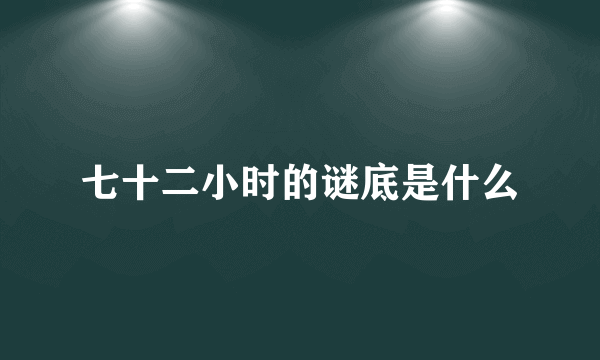 七十二小时的谜底是什么