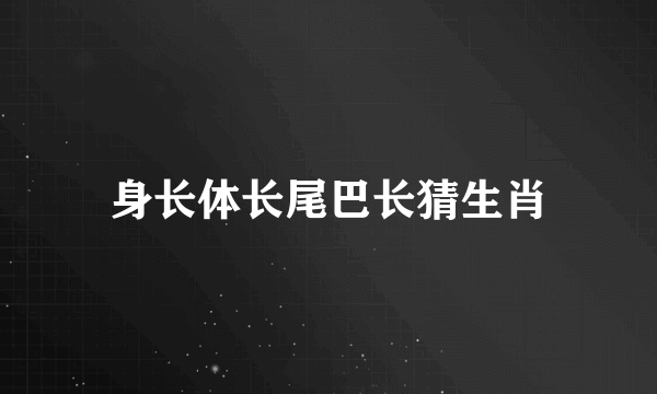 身长体长尾巴长猜生肖