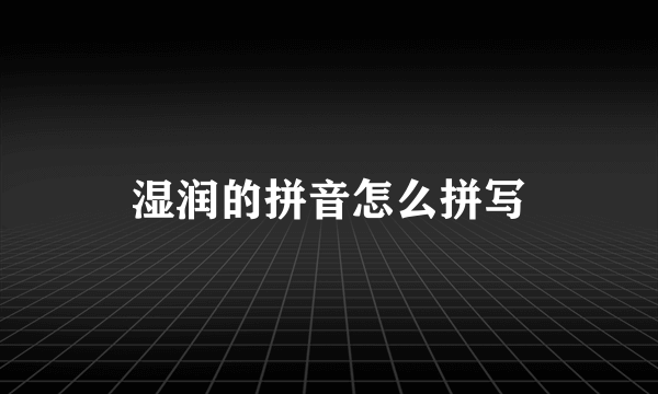 湿润的拼音怎么拼写