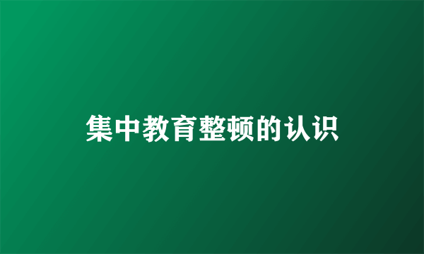 集中教育整顿的认识