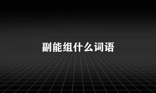 副能组什么词语