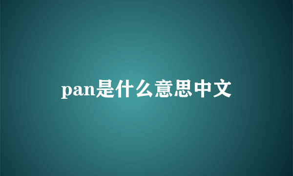pan是什么意思中文