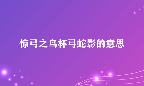 惊弓之鸟杯弓蛇影的意思