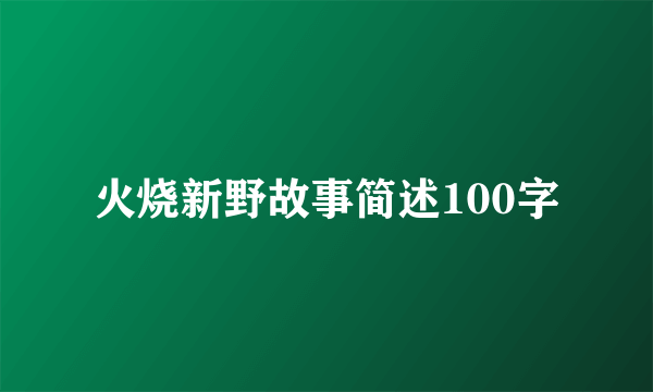 火烧新野故事简述100字