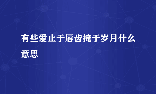 有些爱止于唇齿掩于岁月什么意思
